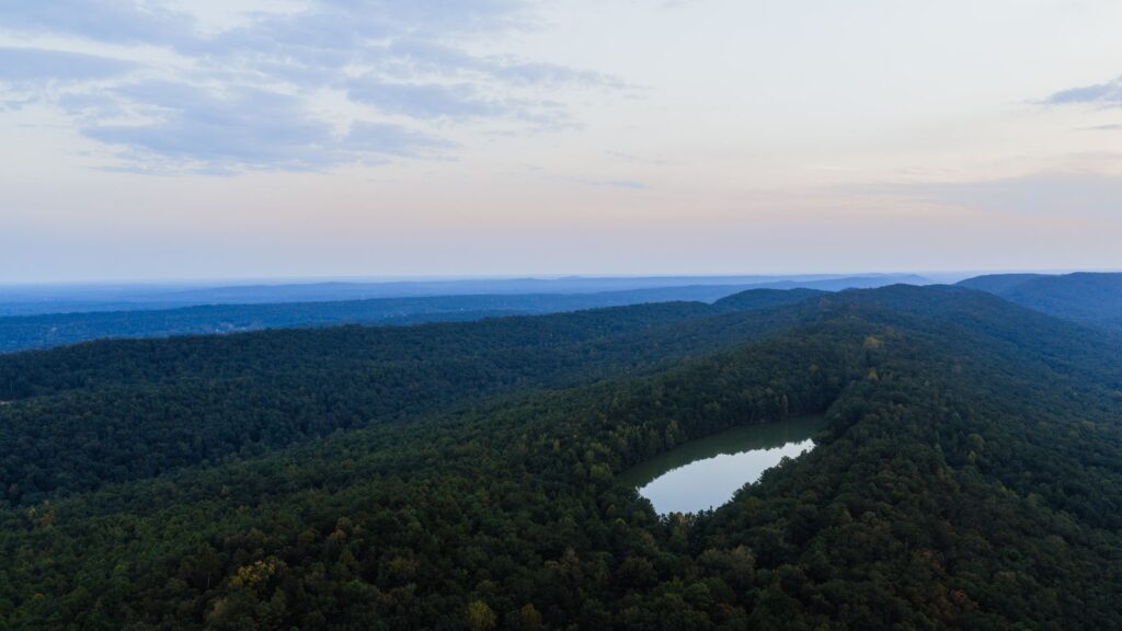 A stunning aerial view of a forest and lake in Pelham, Alabama during daytime