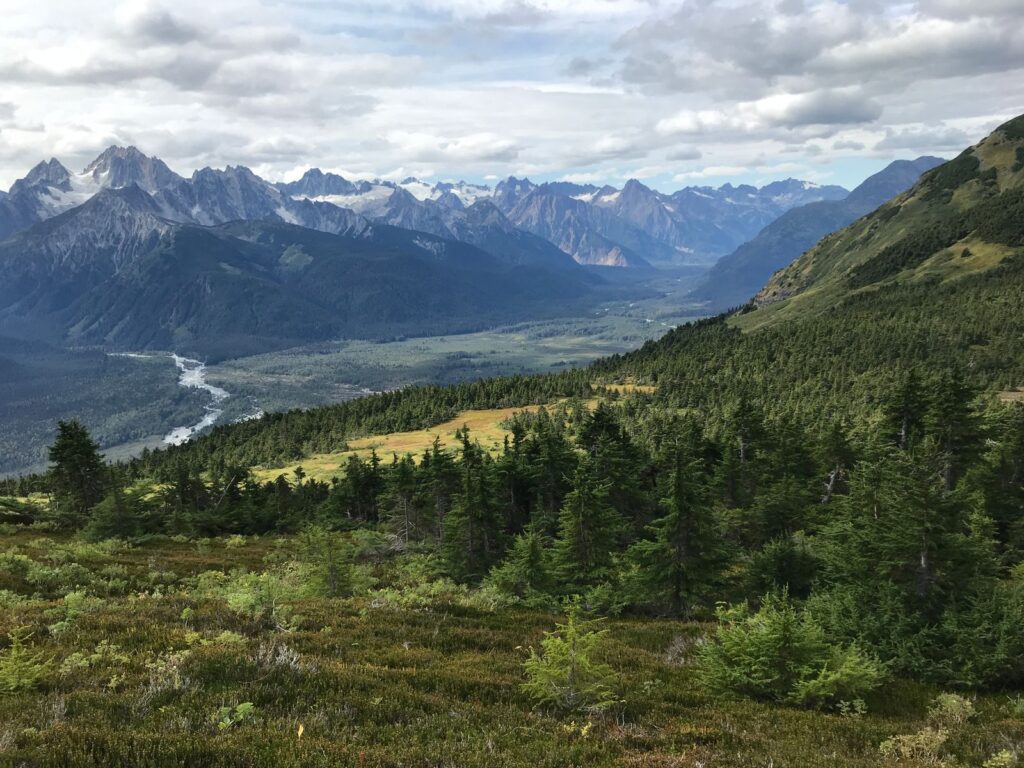 Stunning view of lush forests and mountain peaks in Haines, Alaska, under a cloudy