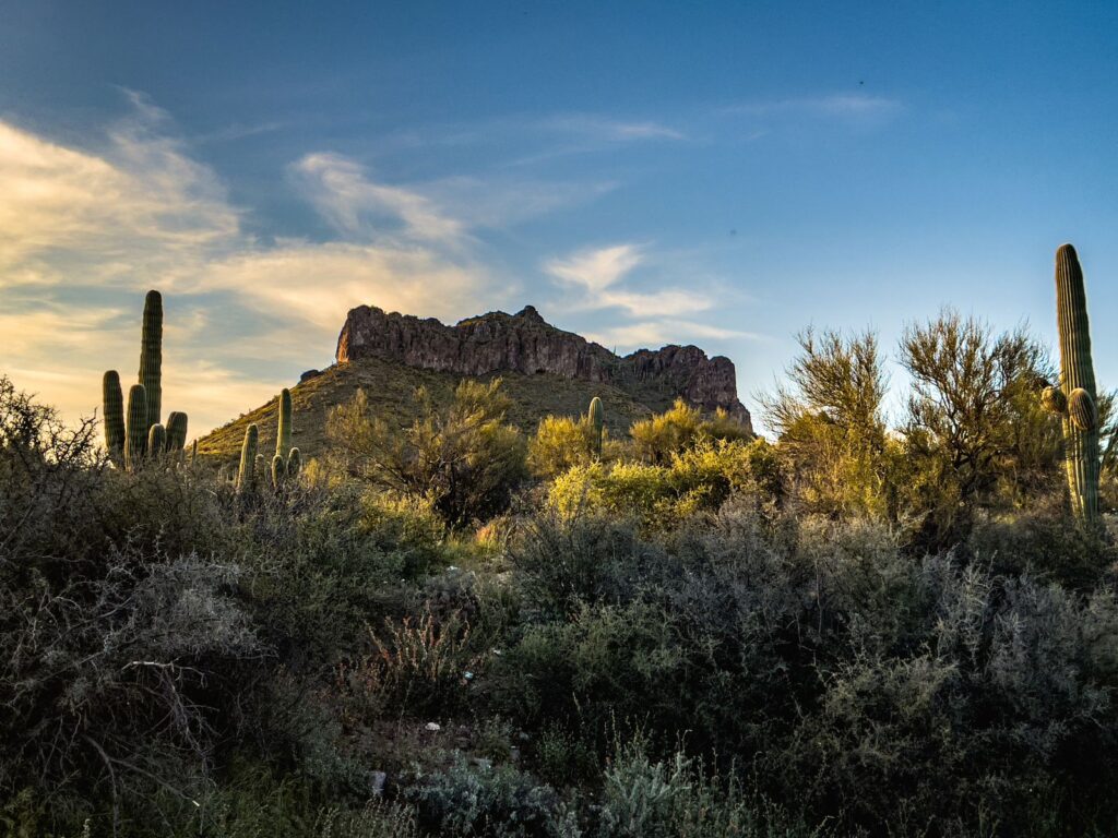 Dramatic Arizona desert scene featuring saguaro cacti and rugged mountains under