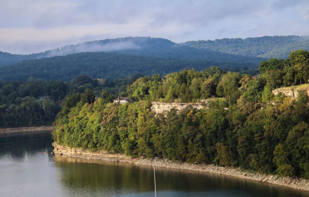 Peaceful landscape of the Ozarks with lush greenery by the water under a calm sky
