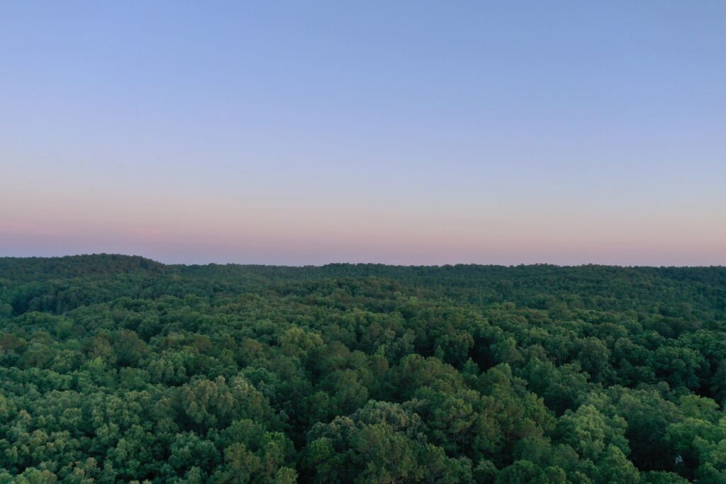 A captivating aerial view of lush green forest under a clear sky in Benton,