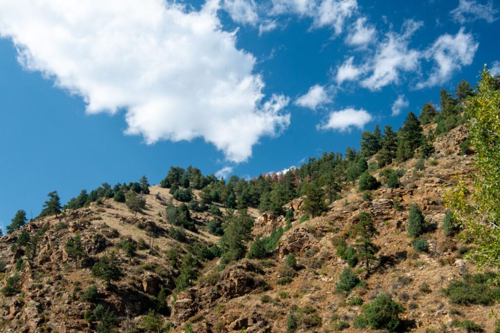 Scenic view of rocky hills and pine trees against a vibrant blue sky in Colorado