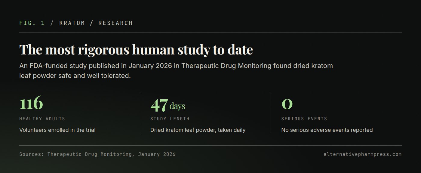 Three headline figures from the controlled kratom trial: 116 volunteers, 47 days, no serious adverse events.