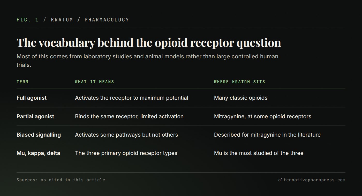 Table defining full agonist, partial agonist, biased signalling and the three opioid receptor types.
