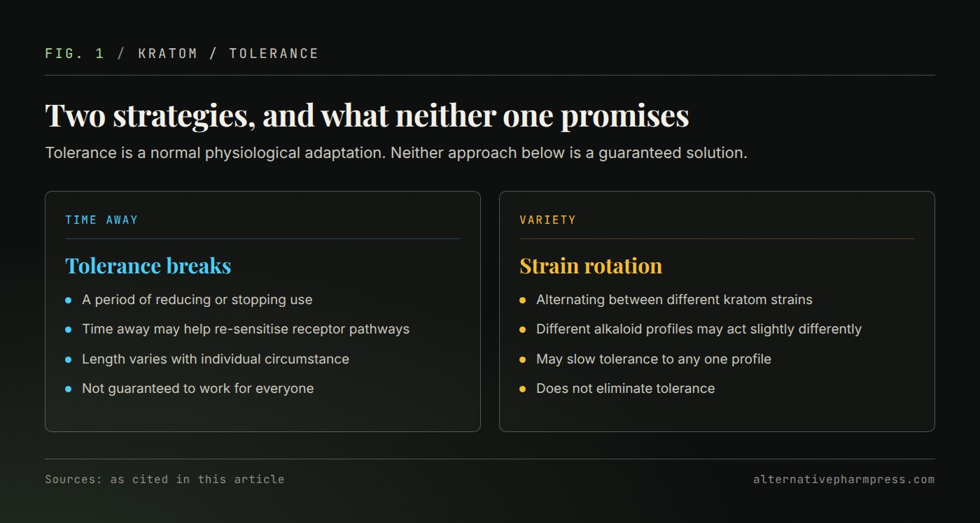 Two-column comparison of kratom tolerance breaks and strain rotation with the limits of each.