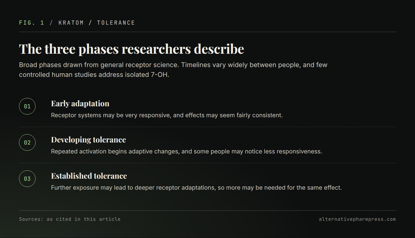 Three-step sequence describing early adaptation, developing tolerance and established tolerance.