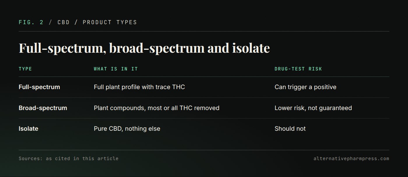 Table comparing full-spectrum, broad-spectrum and isolate CBD by contents and drug-test risk.