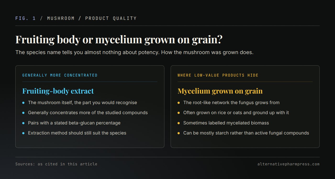 Two-column comparison of fruiting-body mushroom extracts and mycelium grown on grain.
