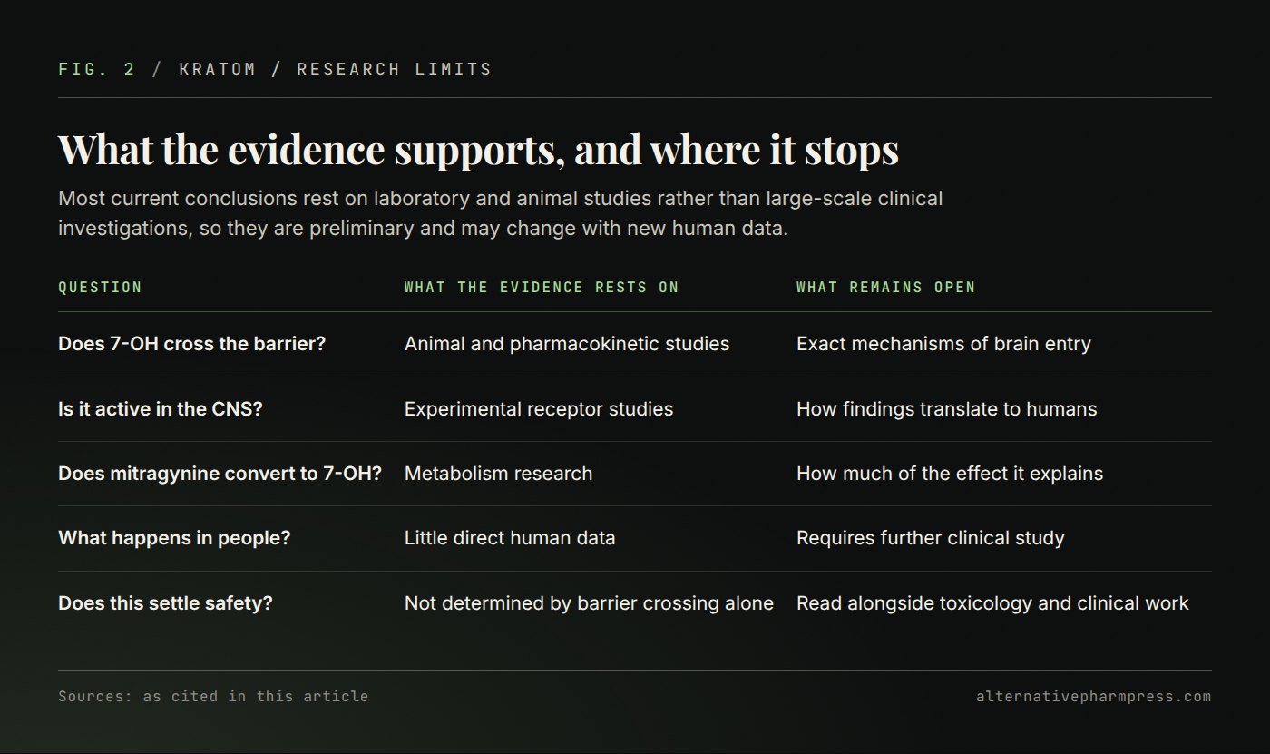 Table setting out what 7-OH research addresses, what the evidence rests on and what remains unresolved.
