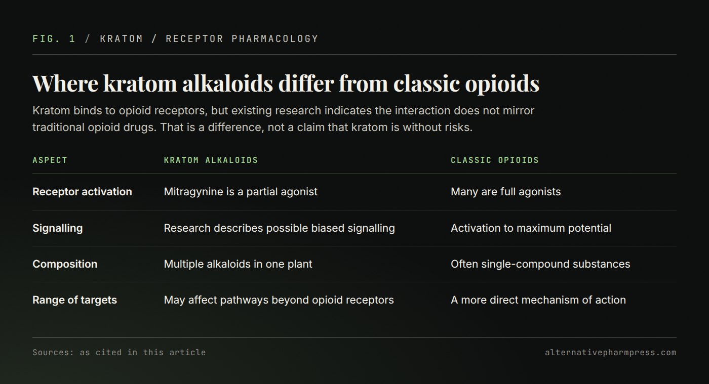 Table comparing kratom alkaloids and classic opioids on receptor activation, signalling, composition and range of targets.