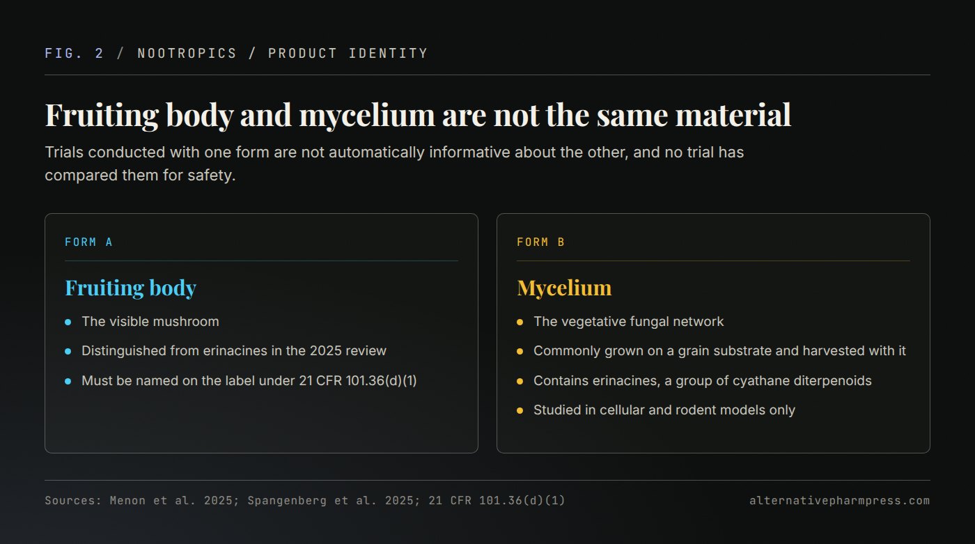Two-column comparison of lion's mane fruiting body and mycelium covering what each is, how it is produced and which compounds are associated with it.