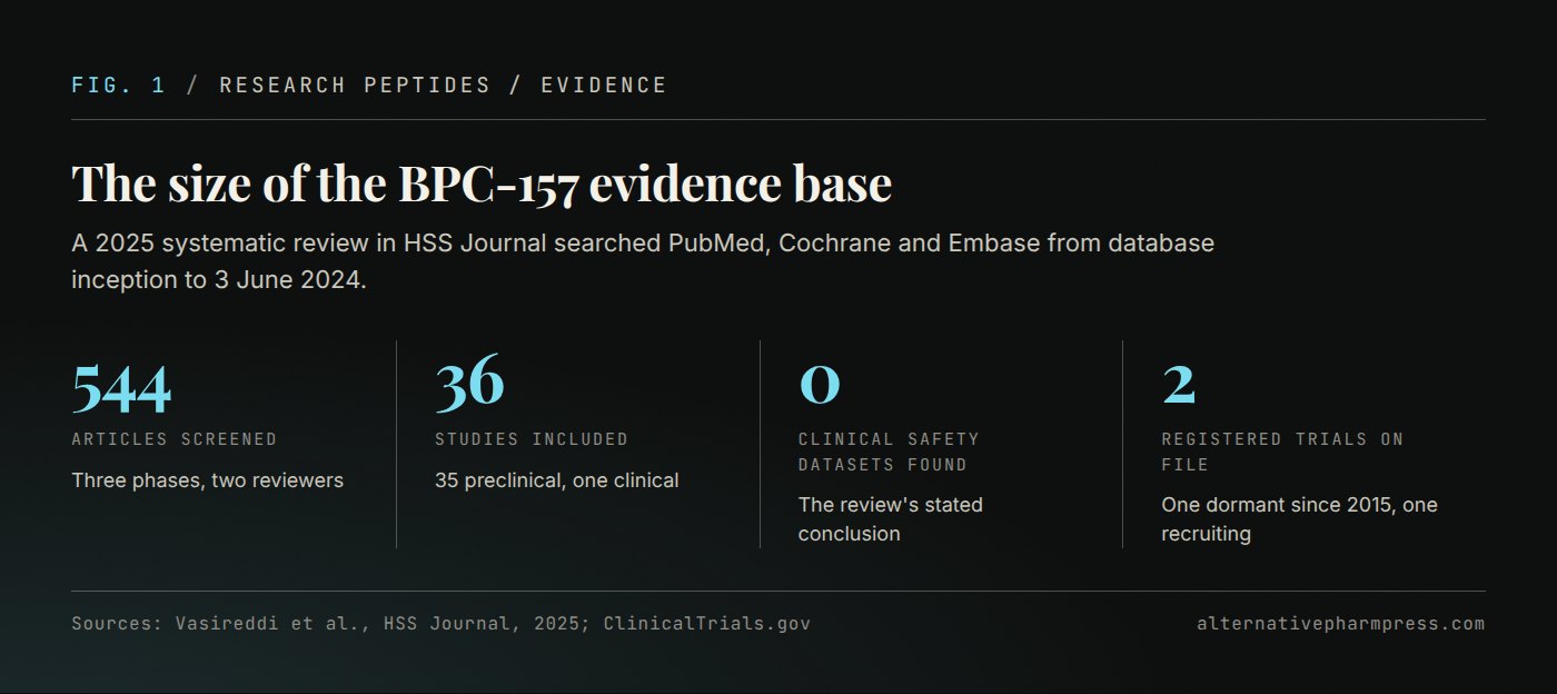 Four hero figures describing the BPC-157 literature: articles screened, studies included, clinical safety datasets found, and registered trials on file.