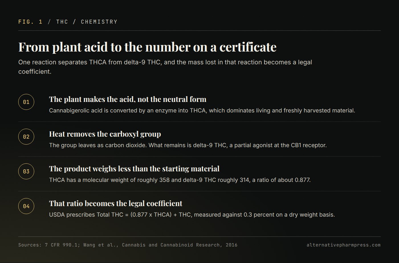 Four ordered steps from cannabigerolic acid through THCA and decarboxylation to the USDA total THC calculation.