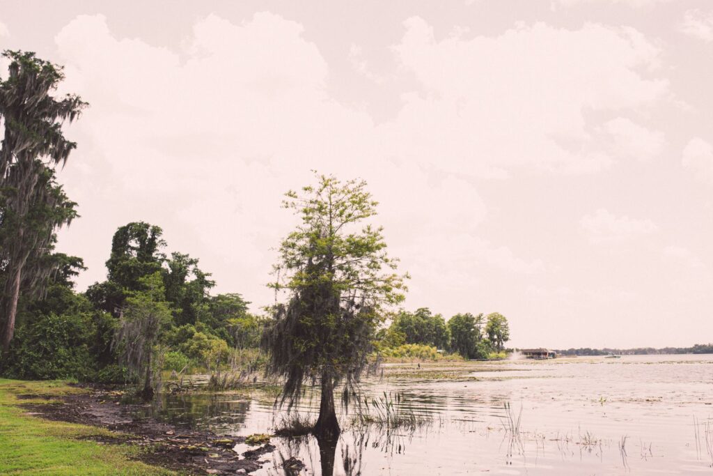 Tranquil lakeside scene featuring lush cypress trees and a cloudy sky near Orlando,