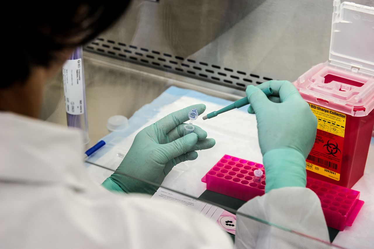Scientist in gloves handling samples in a sterile laboratory