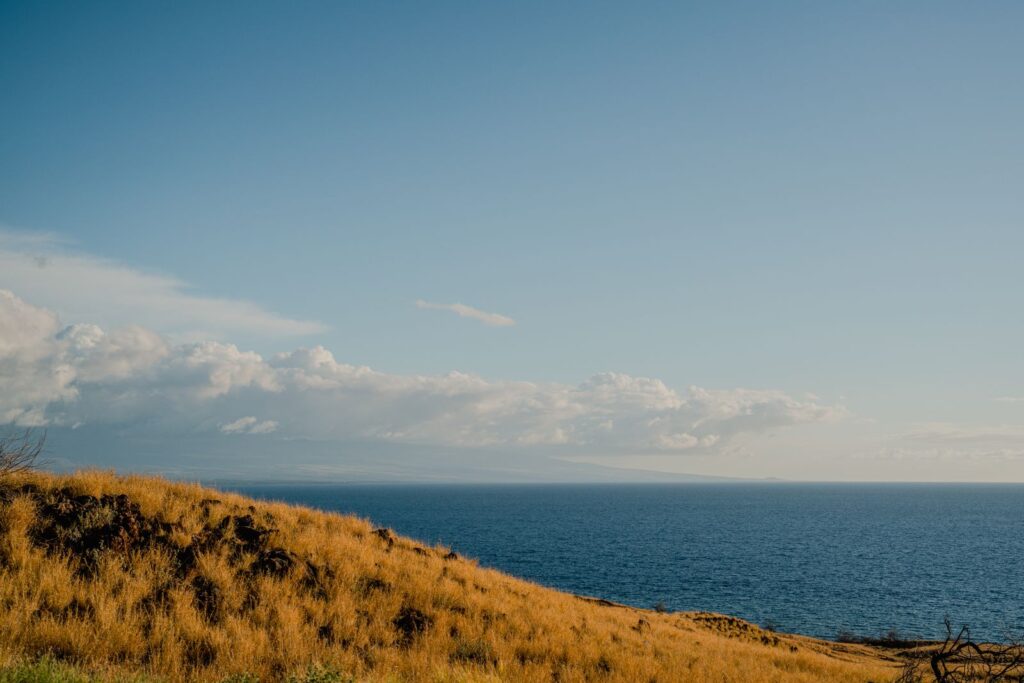 Golden grassy cliff overlooking the blue ocean and sky in Hawaii, offering a serene
