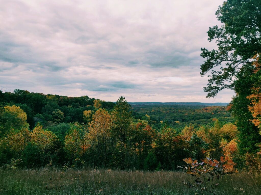 A serene view of Brown County forests during autumn, showcasing vibrant fall