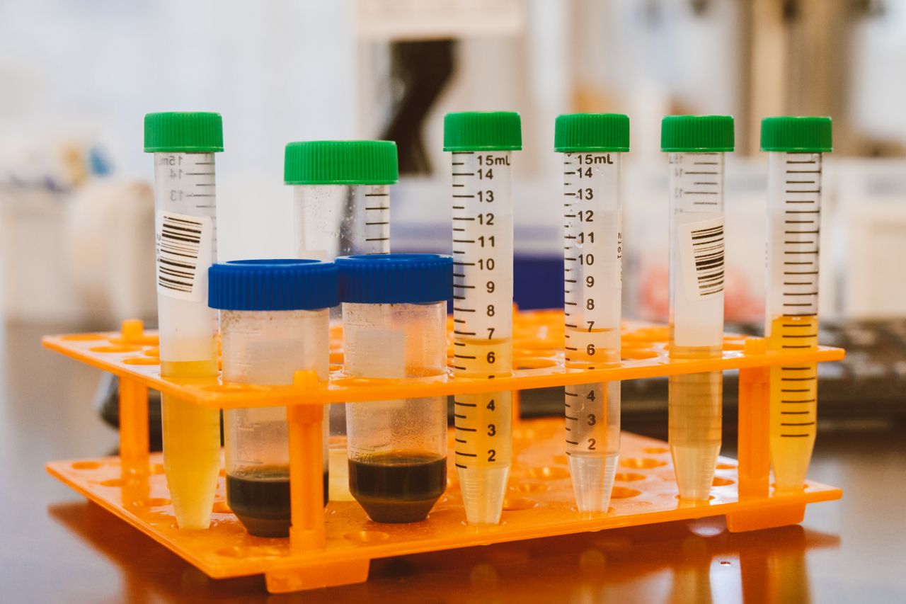 Colourful test tubes in a laboratory