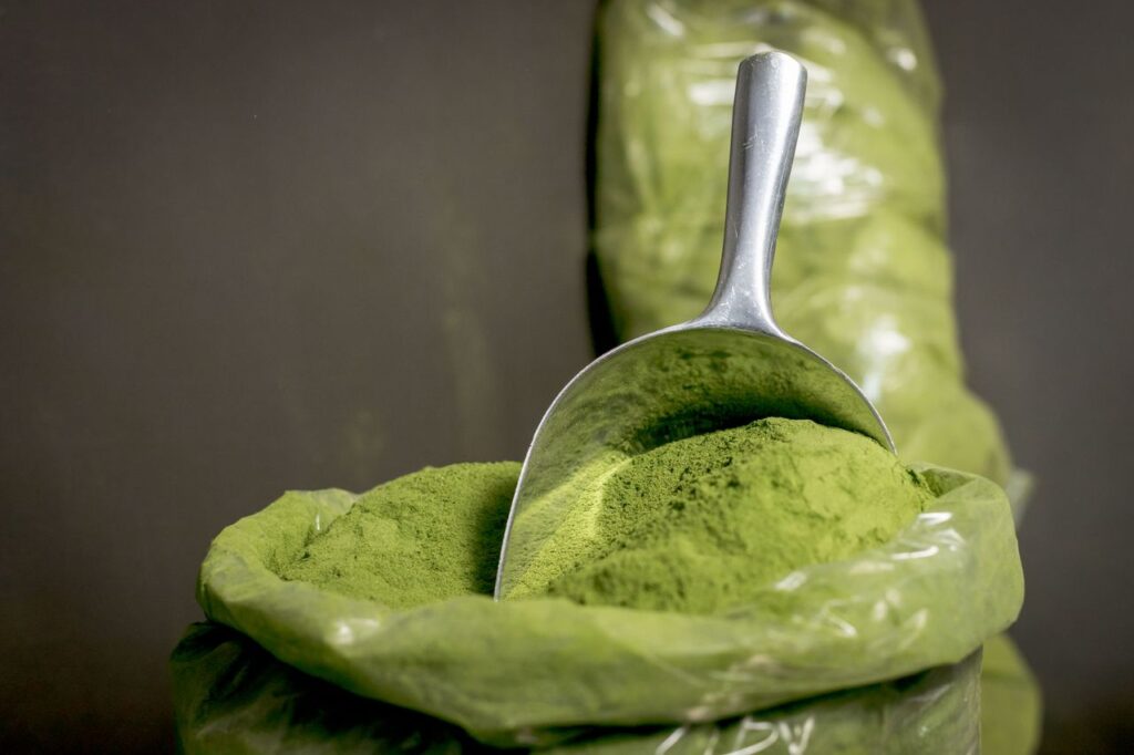 Green botanical powder in a steel scoop