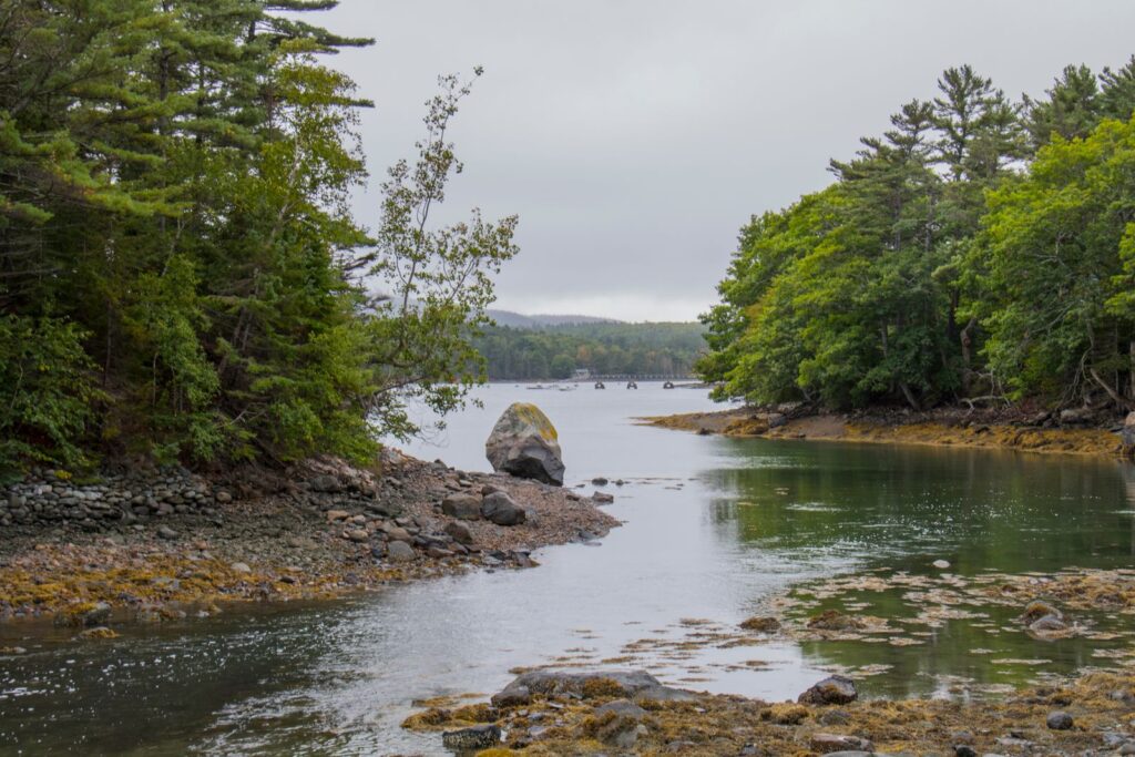 Peaceful rocky river scene surrounded by lush greenery in Acadia National Park,
