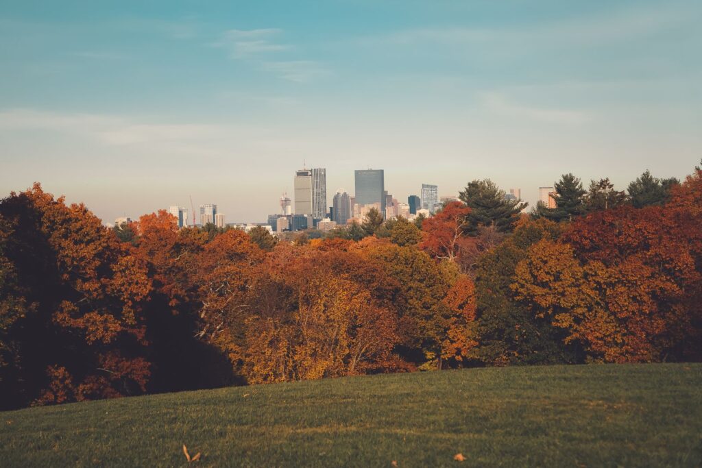 Stunning view of Boston skyline framed by vibrant autumn foliage, showcasing urban