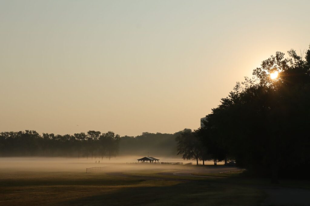 Serene foggy sunrise in a St. Louis park with misty fields and trees