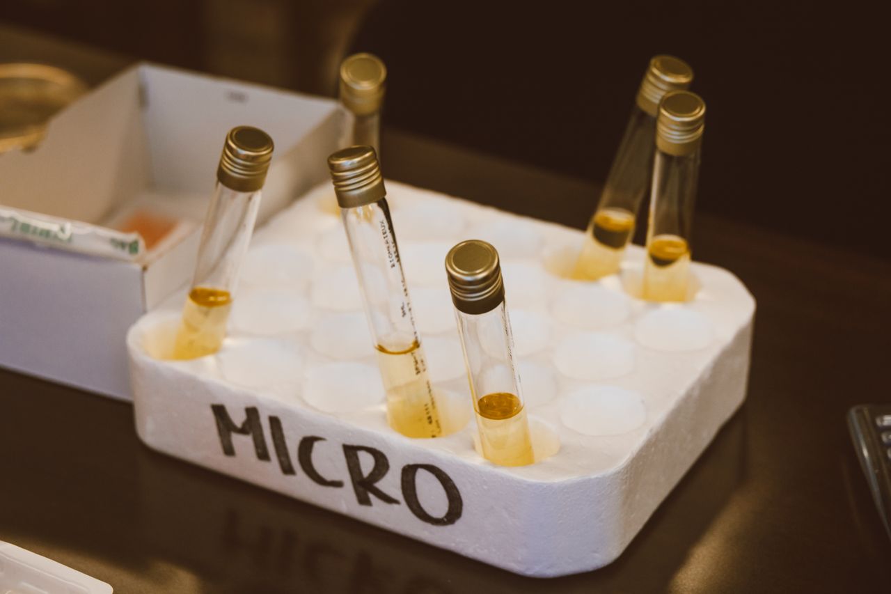 Laboratory test tubes with samples in a tray