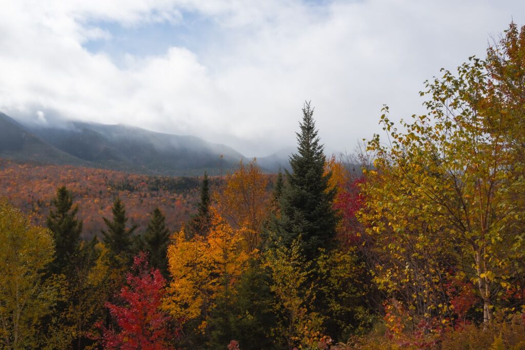 Capture of colorful autumn trees in White Mountain National Forest, New Hampshire