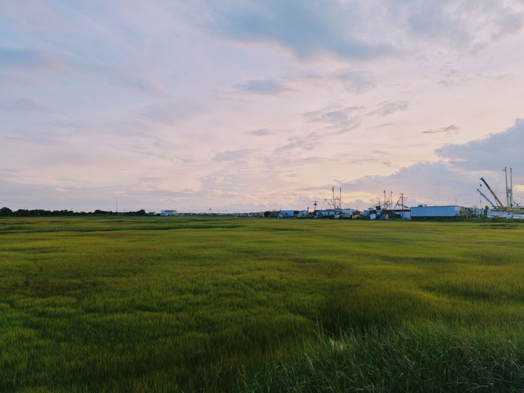 Peaceful scene of green fields with an industrial backdrop at dusk in Wildwood, NJ