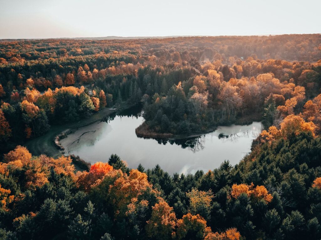 Stunning aerial view of autumn trees surrounding a calm lake in Peninsula, Ohio