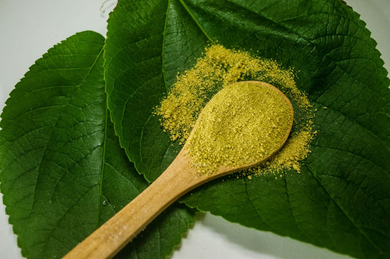 Green botanical powder on leaves with a wooden spoon