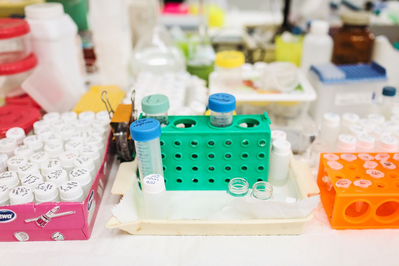 Laboratory with test tubes in colourful racks