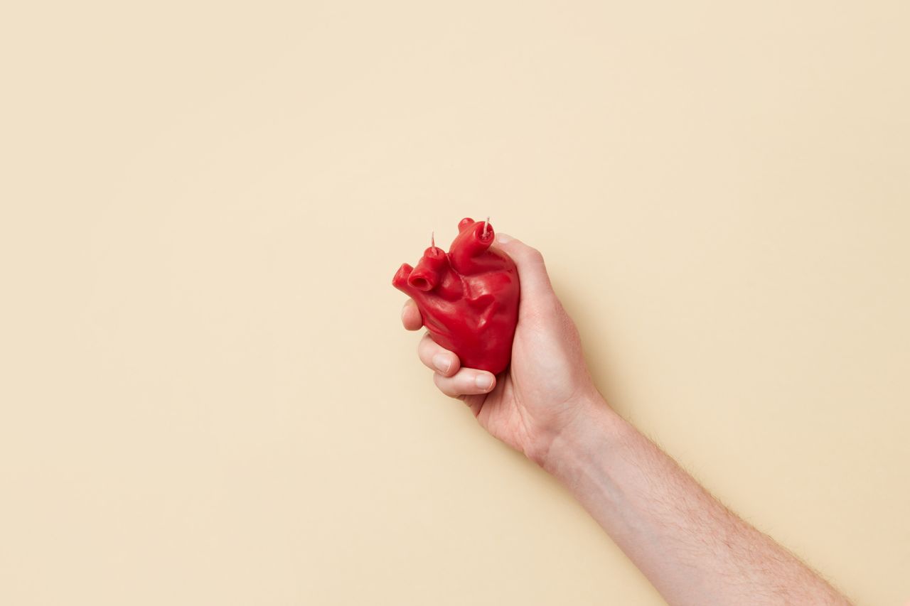Anatomical heart model held in a hand