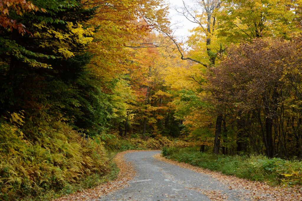Picturesque autumn pathway winding through colorful Vermont forest