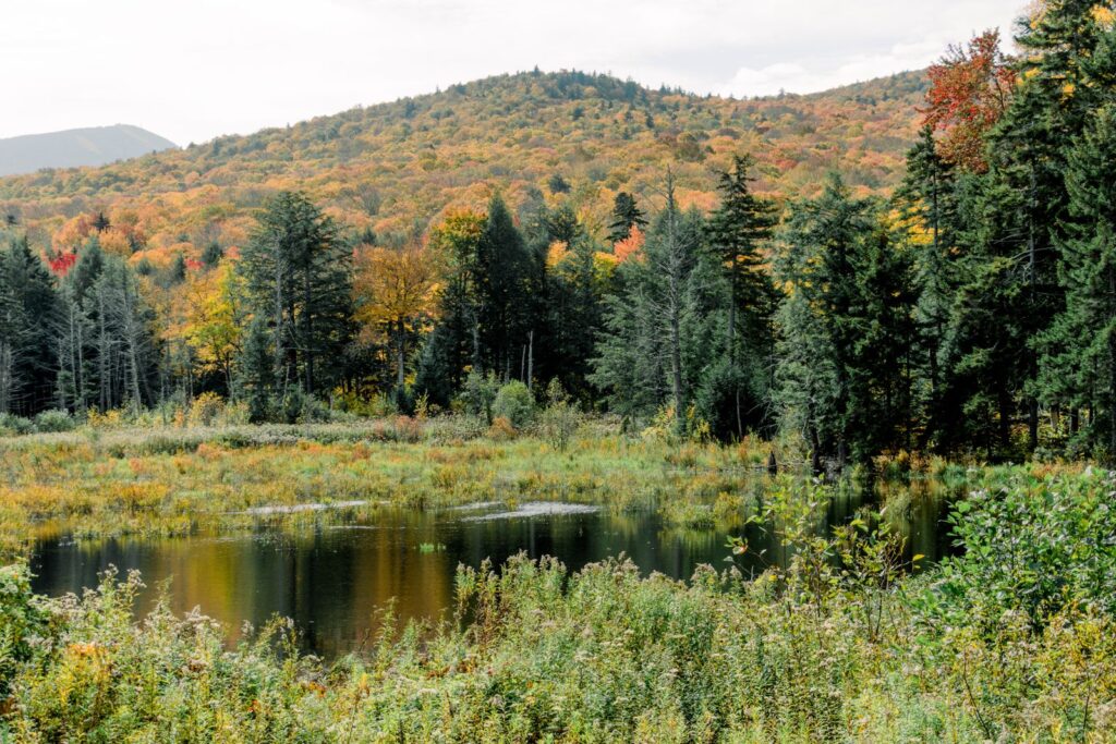 Scenic view of autumn foliage and pond in Vermont forest, USA