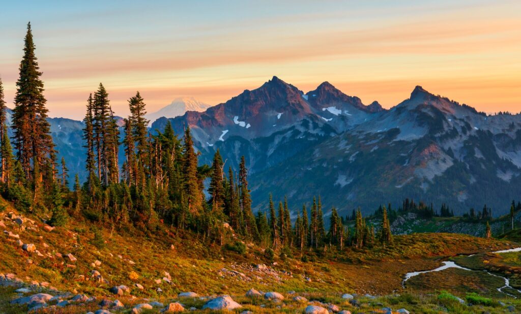 Scenic view of Cascade Mountain Range at sunrise with lush green pine trees